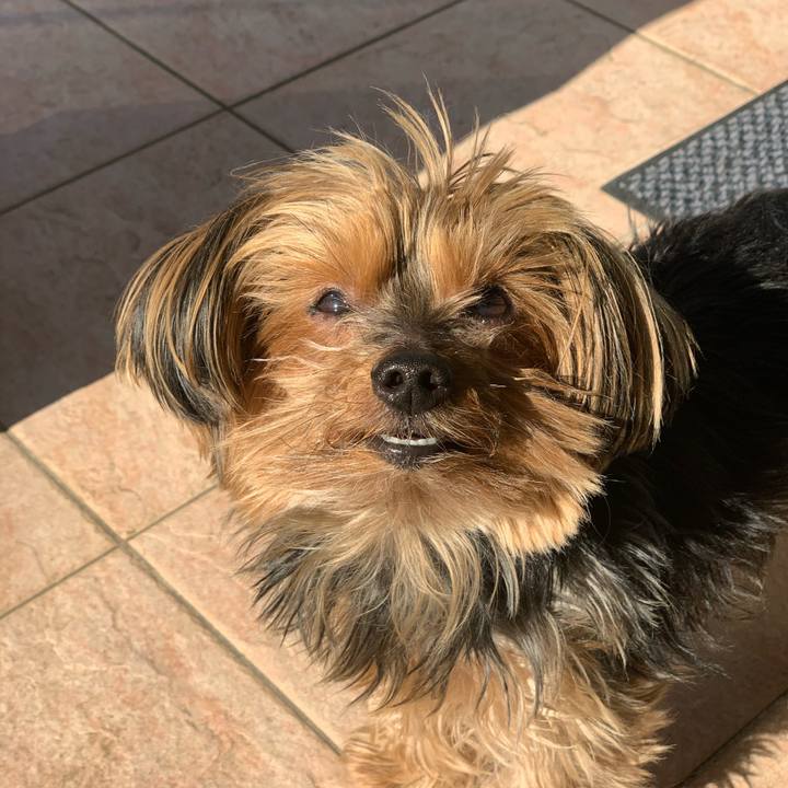 84abbe0b 7a64 475e a2bf 88fc17cbda20 1612999439644