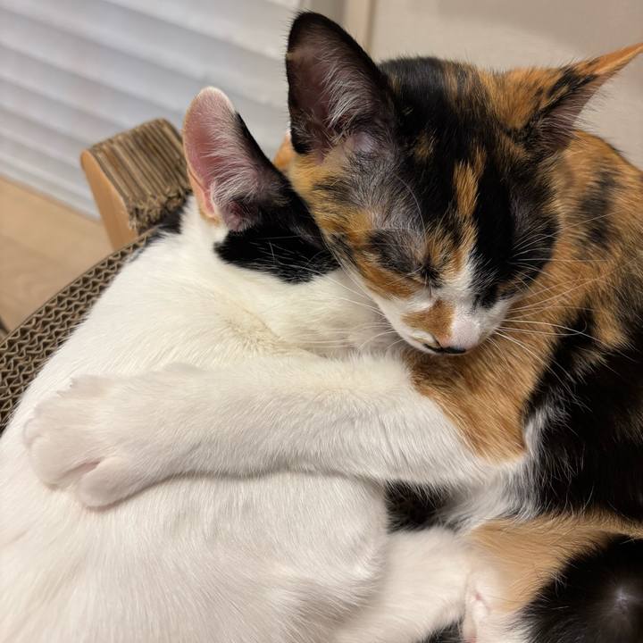 84abbf83 7a5e 487c bdee 0daffc92fa0d 1763603631833