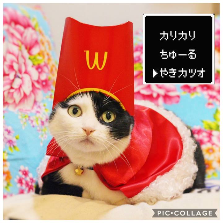 84abc54f 0bd1 4004 8a65 fa0b0b7cec47 1575757706194