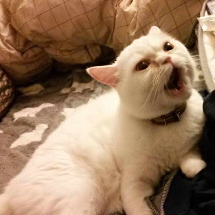 84abcb54 3df2 4a70 ab9e 6399175b8dc4 1528372432695