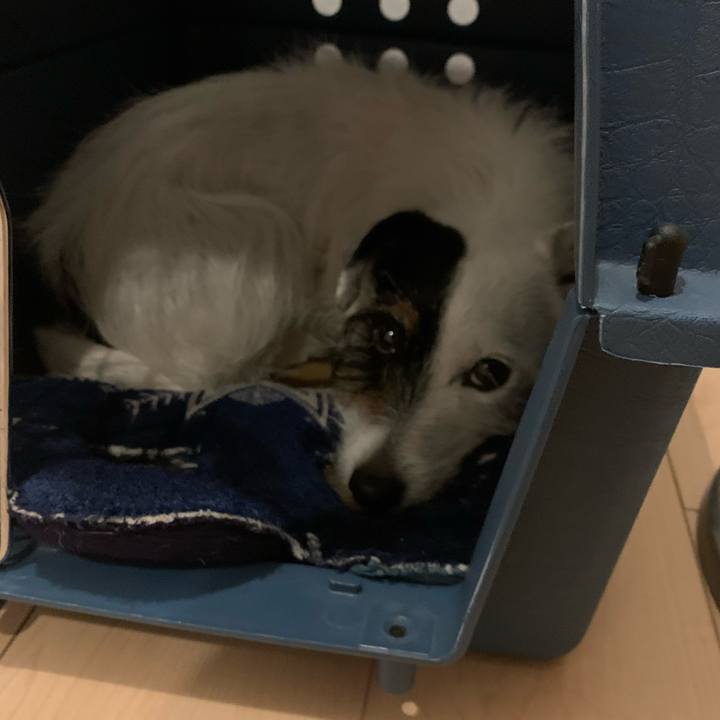 84abe6cb 376b 4567 ac6c 893e5824789f 1682597533030