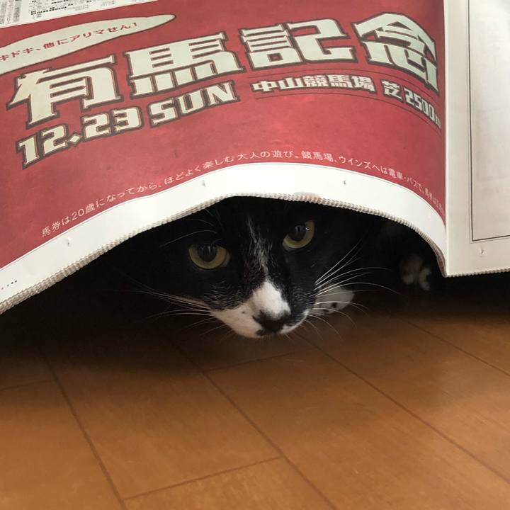 84ac0401 2a96 4f3b 9779 bc4b34ed8ab1 1545535917873