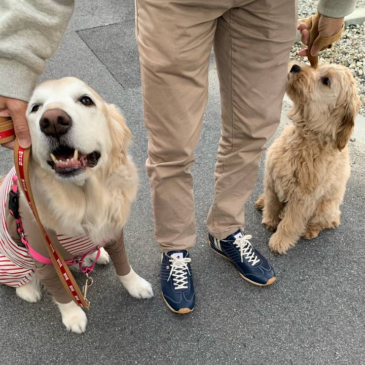 84ac0c40 99b7 4e94 bcd1 9143614b18c1 1681641409727