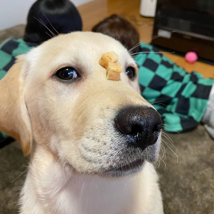 84ac3dd5 b728 4a14 81c1 ac6ec778a909 1613217185348