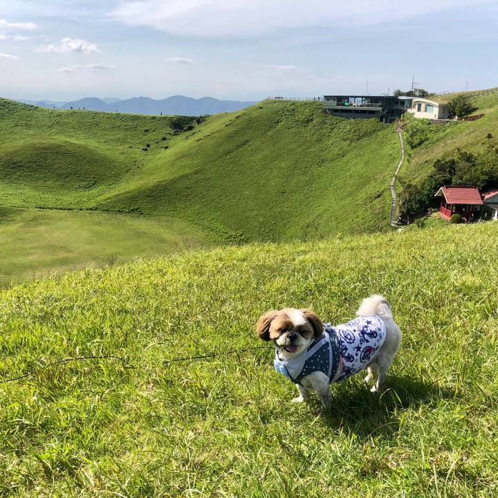 84ac6c4b 40fb 43a5 a4a0 dddafa49c21d 1526029192724