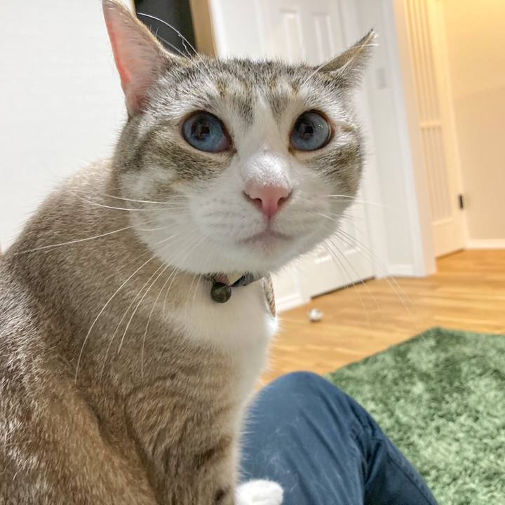 84ac6ef4 cd7a 475a 8d16 a8e06e807fc8 1590140086643