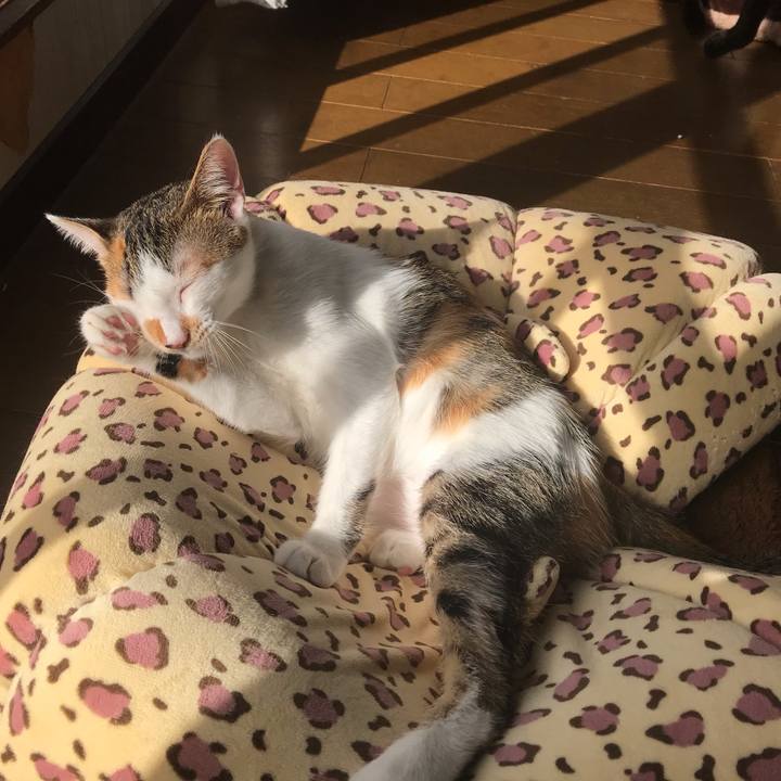 84ac836d d8f1 4b37 aa03 b4871525522d 1542760291365