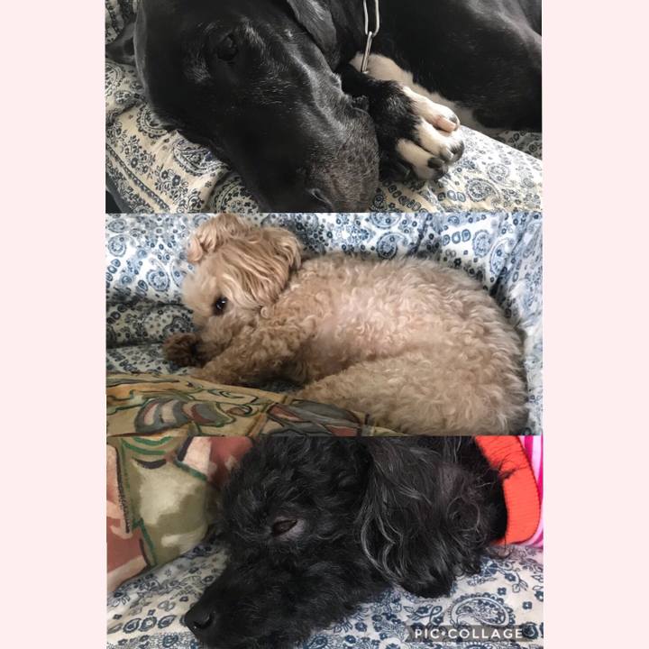 84ac975e aae5 48f8 bd73 842fa1fe70ac 1525588819984