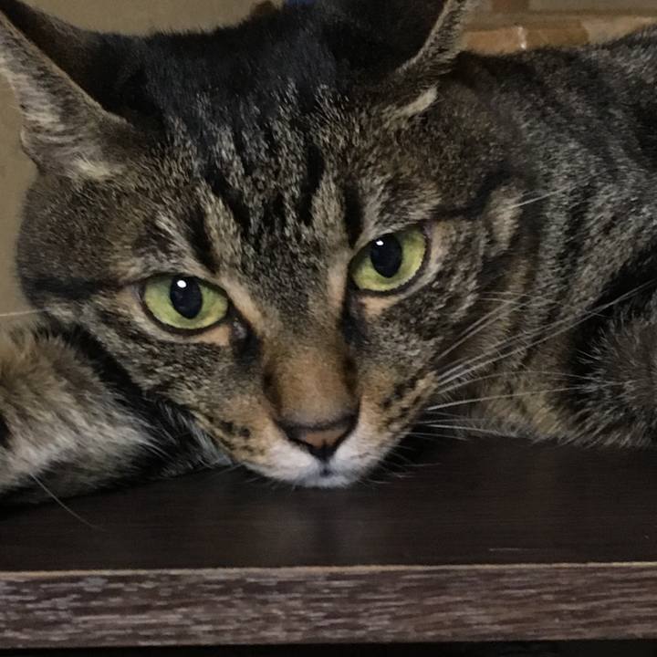 84ac9f22 aeac 41b6 956c c537ef32f380 1567525996652