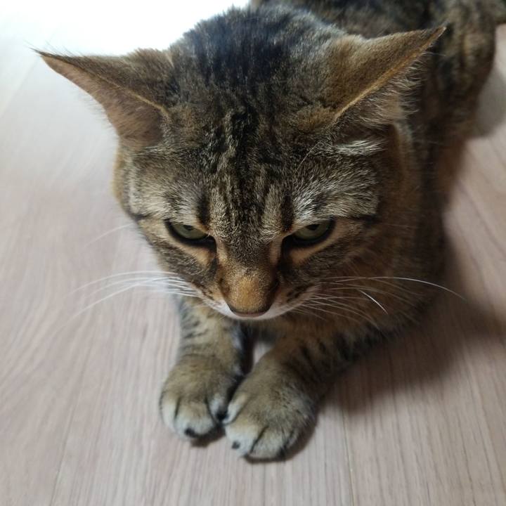 84accc83 8ab1 42e8 a7a1 ef30bbcae3ff 1587167849753