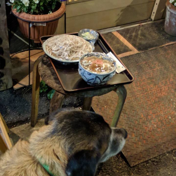 84ad4ca3 42a6 417f b46e ffdd3b042dd5 1545041404109