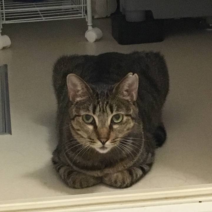 84ada978 5087 4117 a4dd 0d9557853274 1535261600157