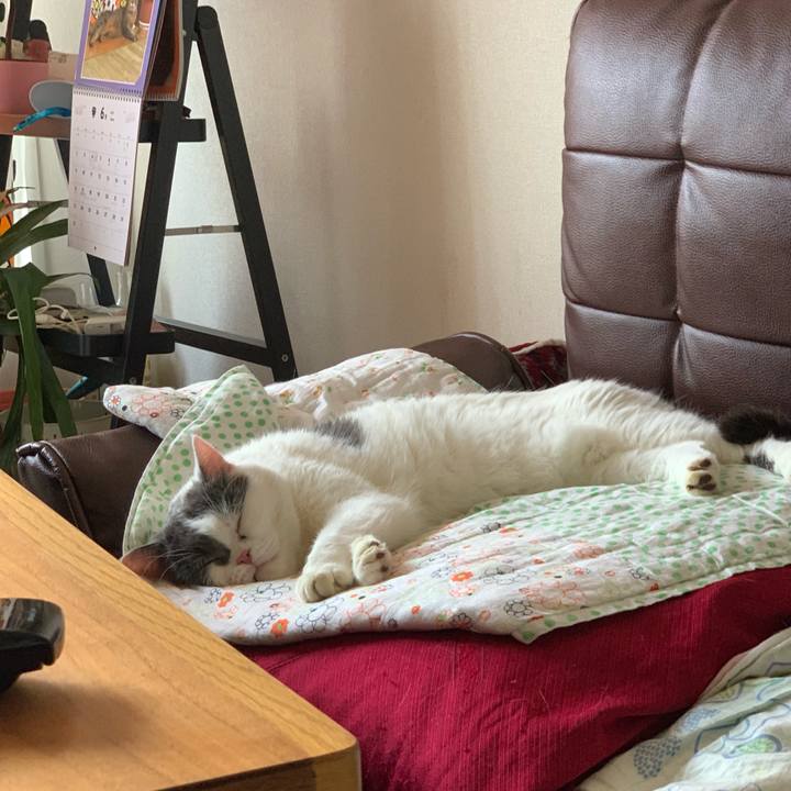 84adbb8c 297d 4ac1 ba48 e4c591cd3534 1559818139113