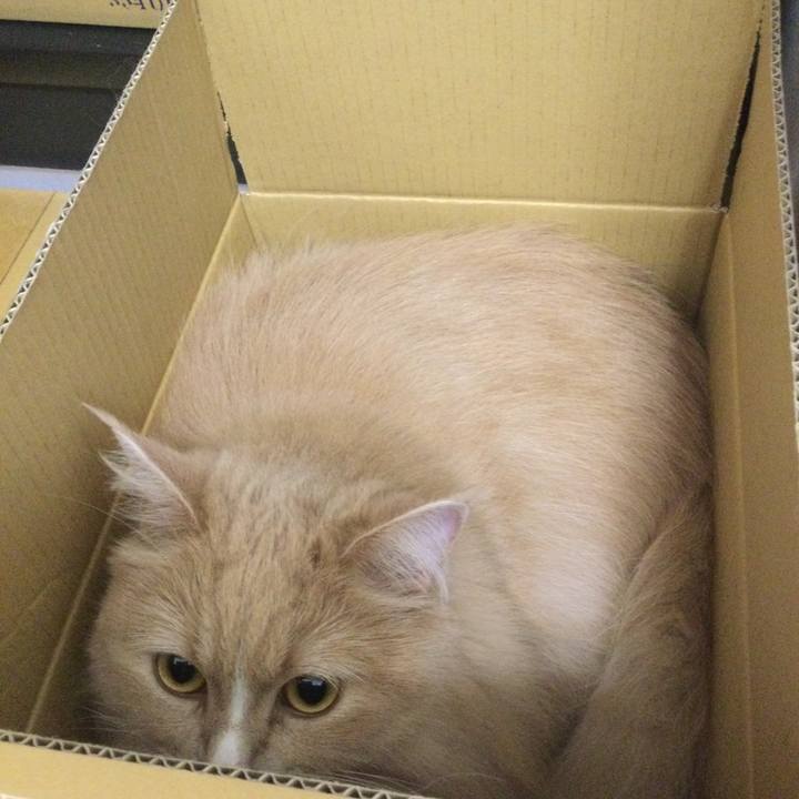 84adc41c 67ab 41b1 a3b6 31d3af9095f1 1657210988289