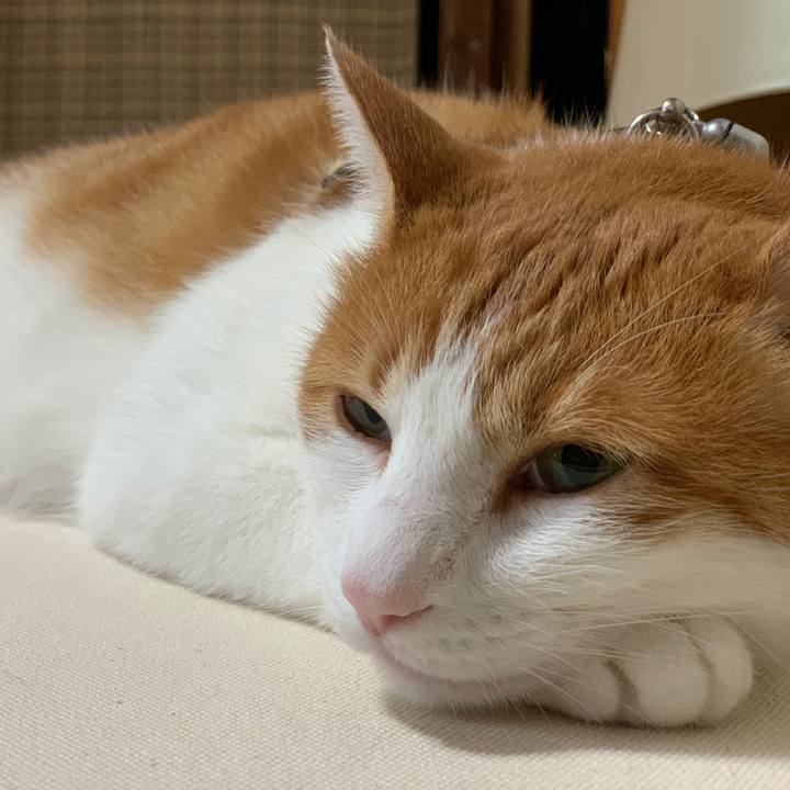 84addb87 e8b6 4027 867b 7855932e7ae1 1597187383395