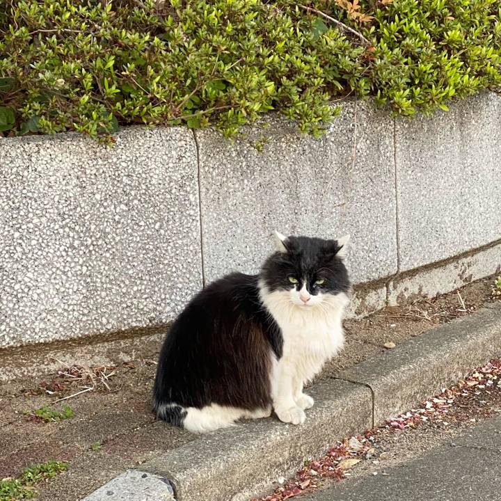 84ae20d7 55c9 4817 bb1d b7ecc4180189 1618192447208