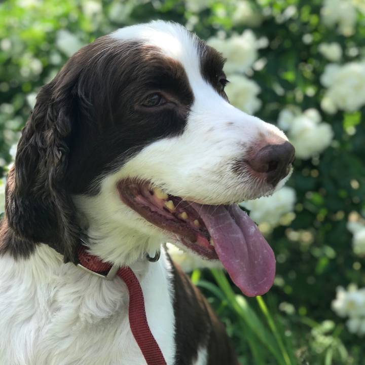 84ae44f4 f4dd 48cf a3f4 ad63535aac43 1526713022959