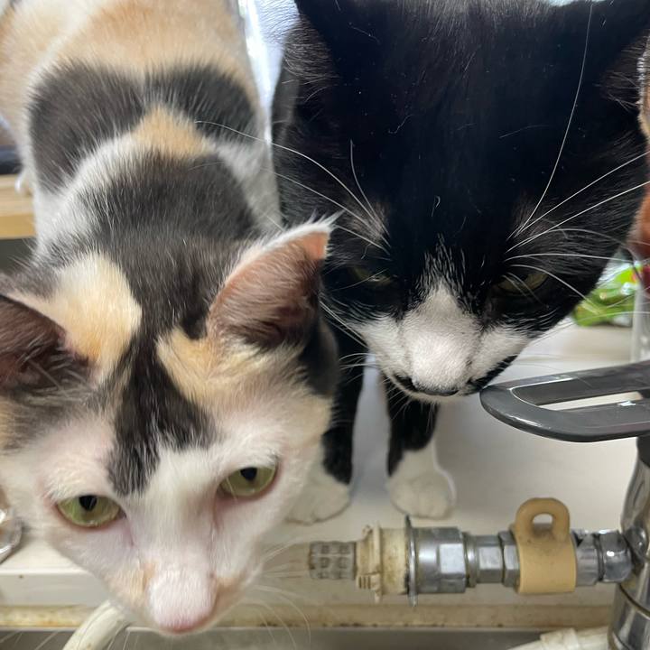 84ae52bb 3fac 48cf b456 ca51bcb374ac 1758516256352