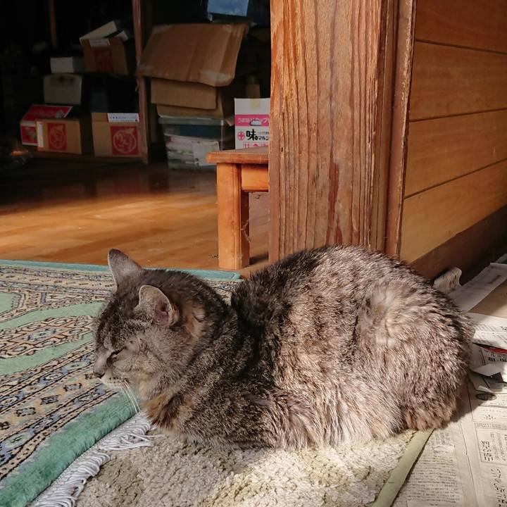 84ae54f4 9885 439e 931e 964dd2f1e178 1577587837383