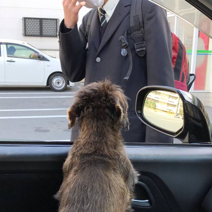 84ae6db5 46b9 4a3e 8f9f 128e9d1f556c 1548557747338