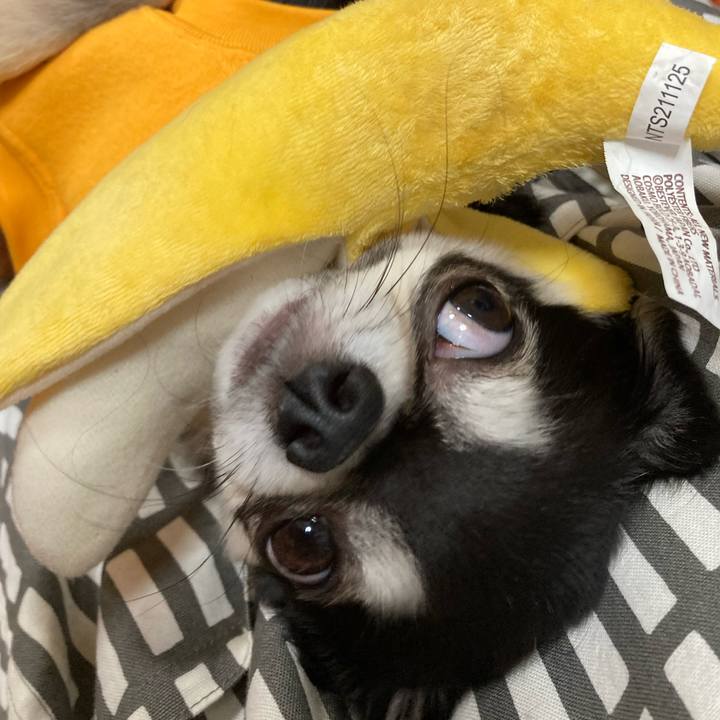 84ae7336 7860 4569 99aa c0547c686dcb 1670080177036