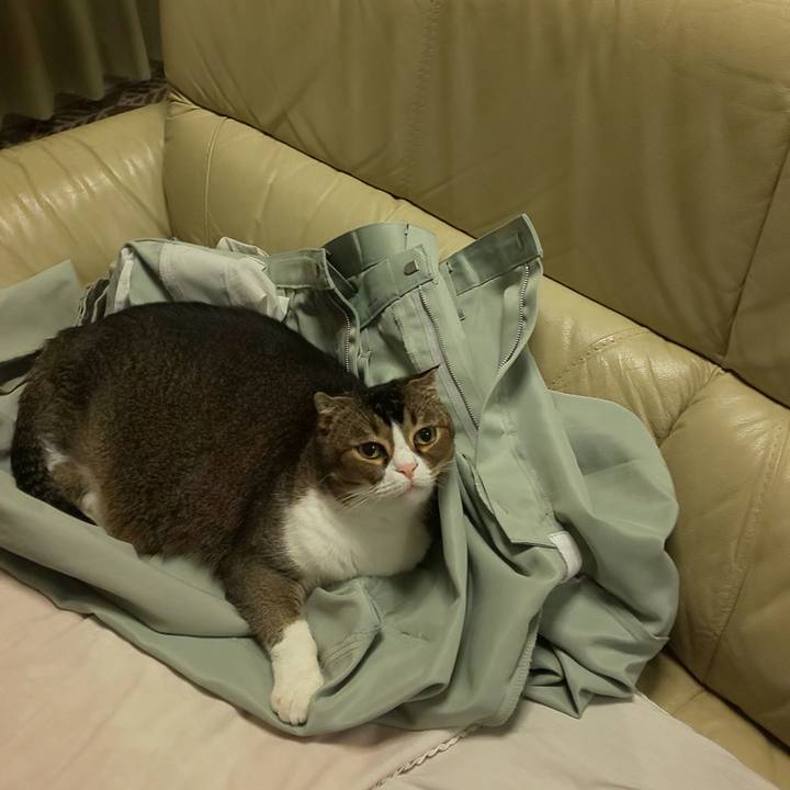 84ae7ece f521 47b9 8226 a088942991aa 1633175835760