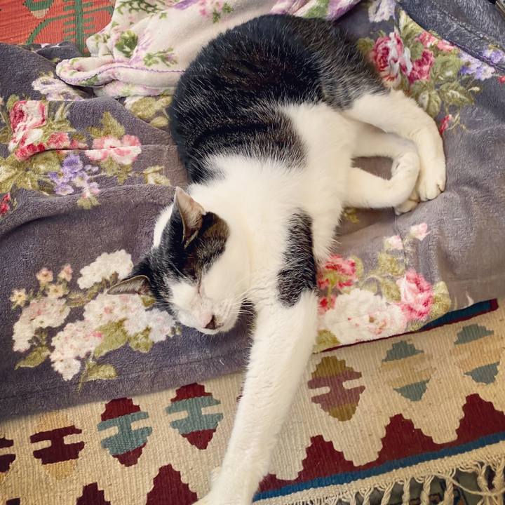 84aee74a a8fc 46f4 a9ae 39608f345298 1603973119264