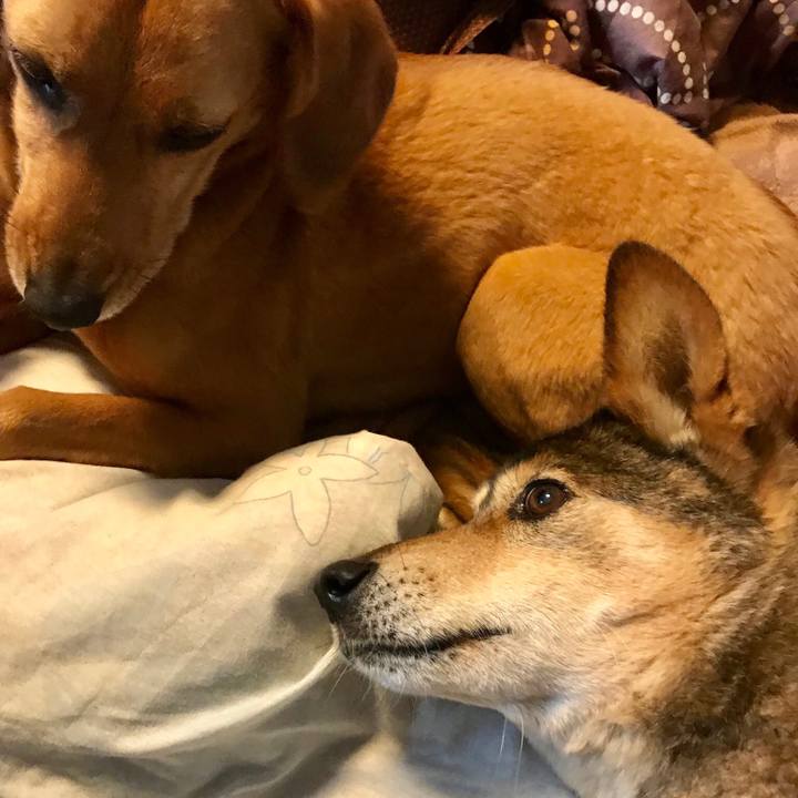 84aeeb5a c369 4665 85cb 9a2a5718f888 1523012788322