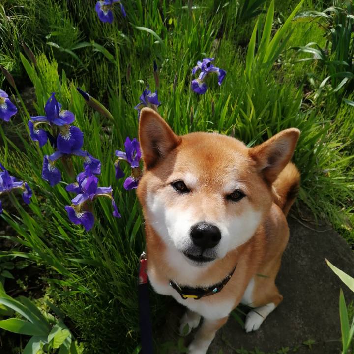 84aef031 802e 4f14 b588 c5a8fb0dd5d1 1619938013807