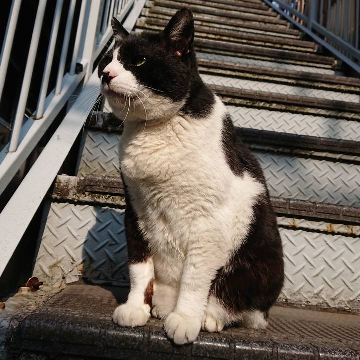 84aef496 3f5c 4348 aa4c e9407d9dbd02 1588200824385