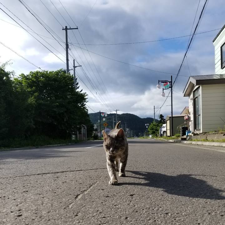 84af2b50 ad0e 40ac aec5 009e2edc720f 1536155024255