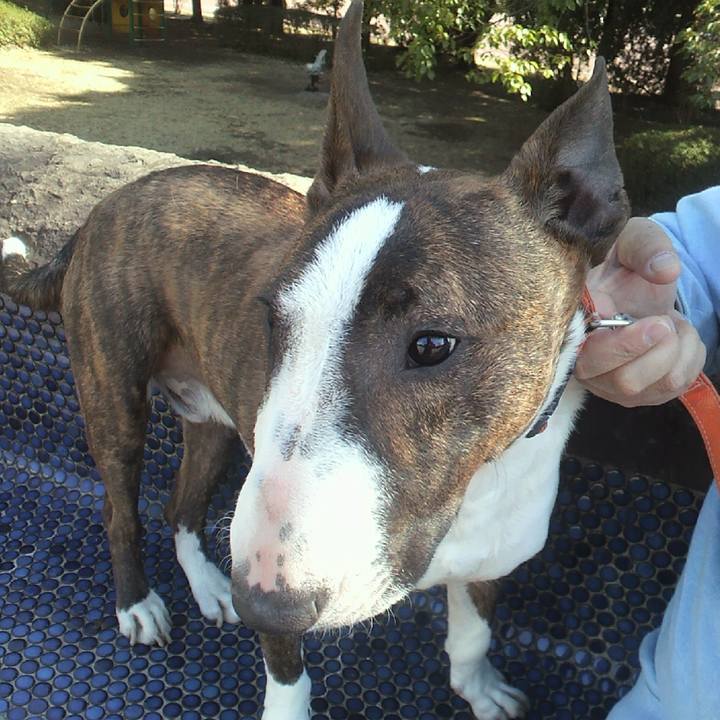 84af36e1 46e5 44fb a424 5bccd12a390d 1614078564360