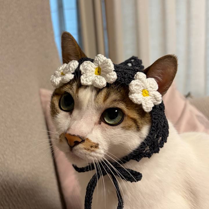 84af7414 bf99 40e3 8c0a 77bffcec002d 1771802497663