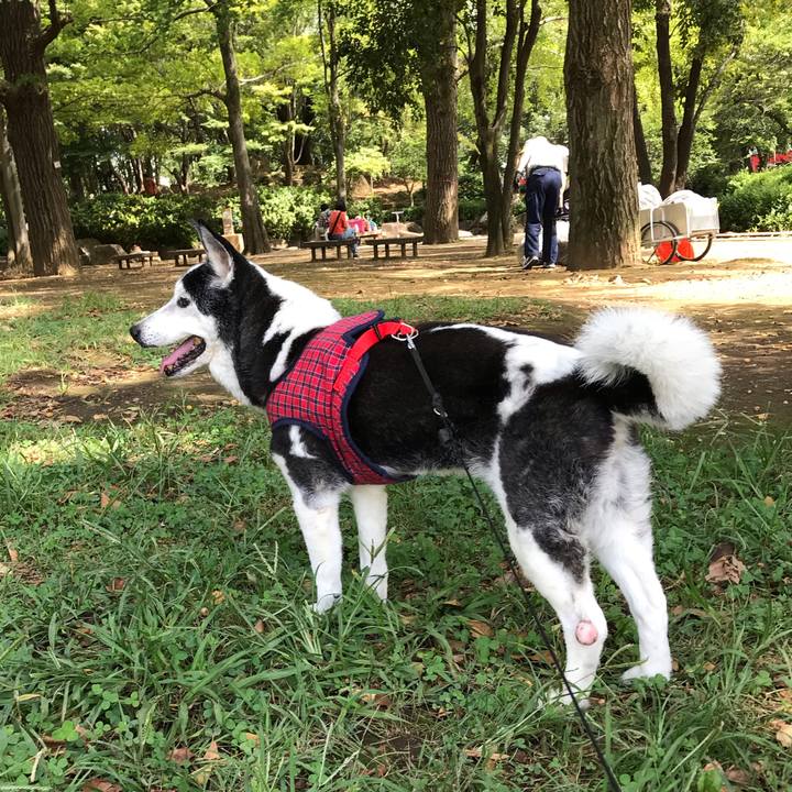 84afc129 01a4 4b76 a76f 13c9db7ec26b 1569120383283