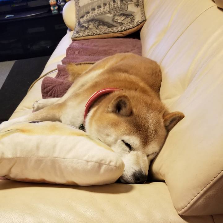 84afddbc da19 431a b48c e8bd0a08c1ef 1710238193228