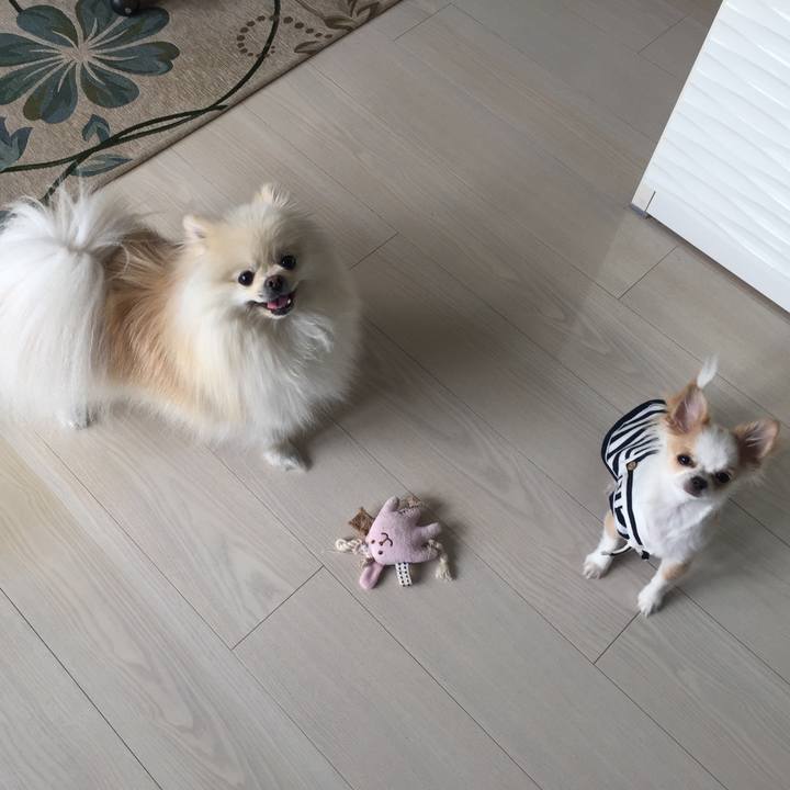 84aff1b3 6645 4d75 b43e f0f090b23585 1521781189733