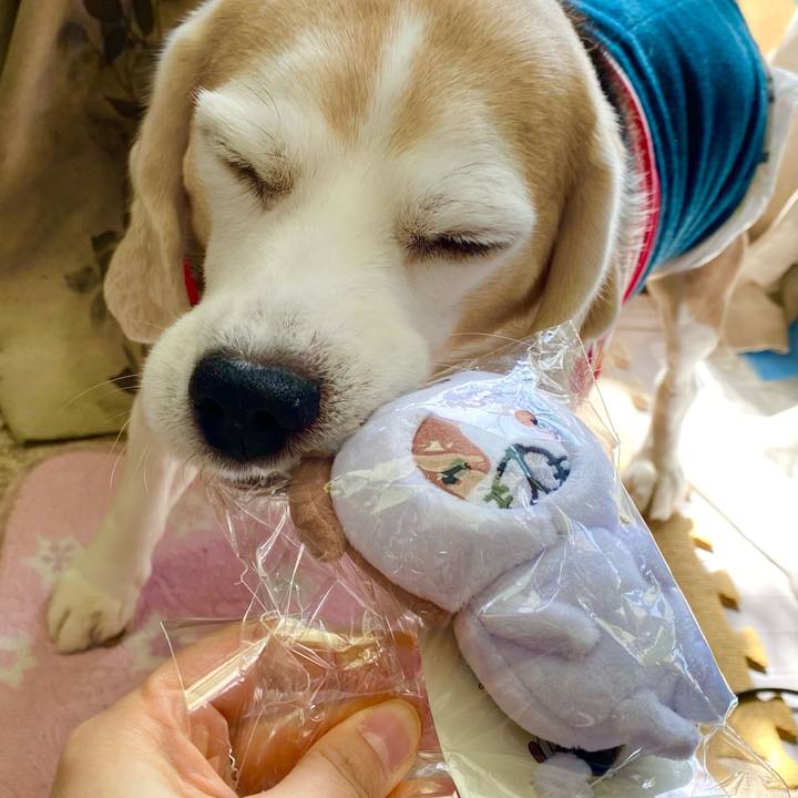 84b0021a f277 43b0 84e5 ee322ce2d37b 1616127032538