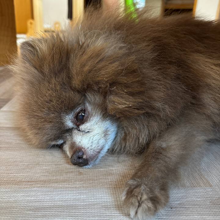 84b00b07 6777 4be1 aaca 59aa3c10c8d9 1759962856987