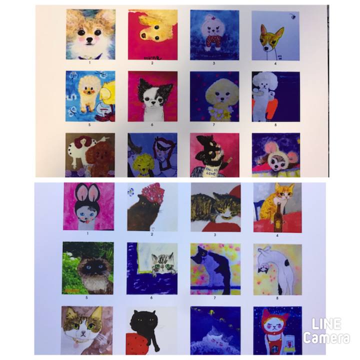 84b013c7 66d2 459a 970f 768367fcea45 1637353578422