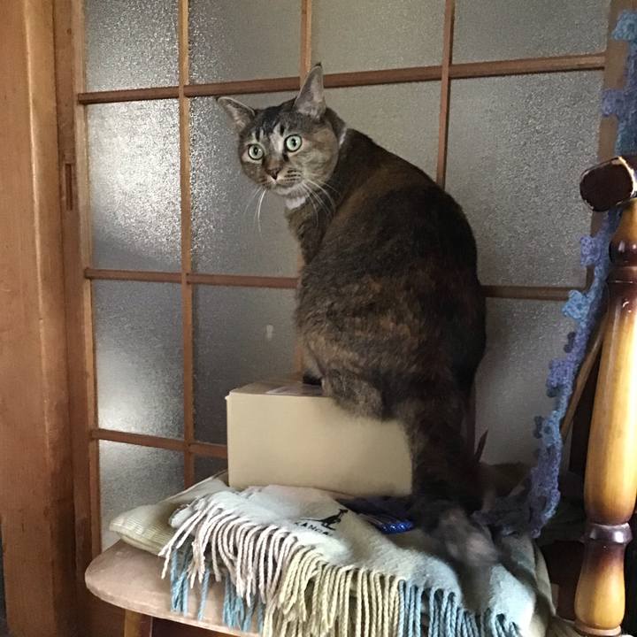 84b028c3 d591 49aa 87e5 fdf44a0aad8a 1756177331800