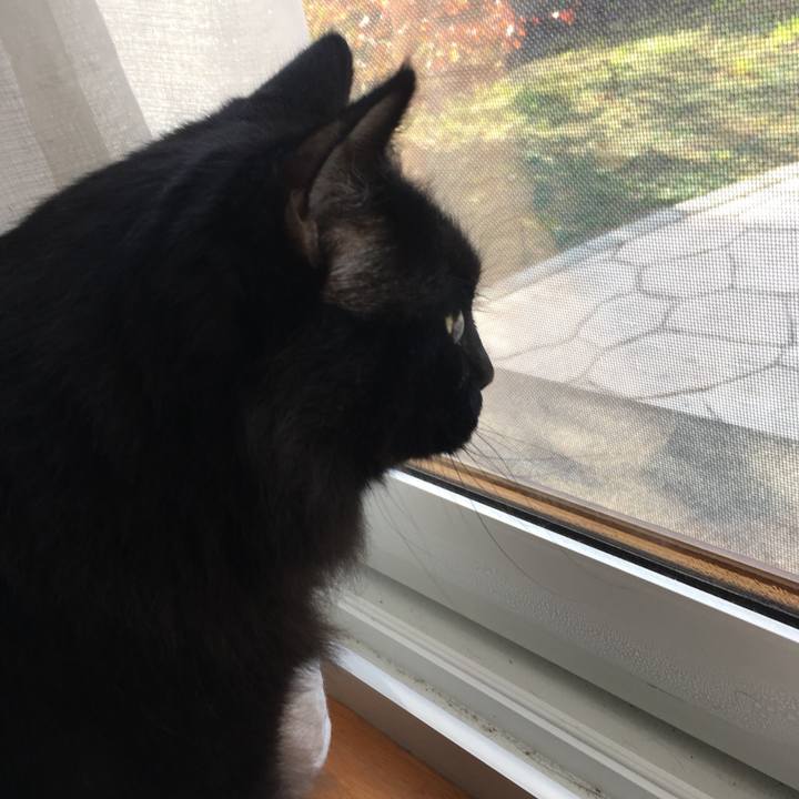 84b032e5 1ba7 4387 a129 df1ad40341a2 1572506683922