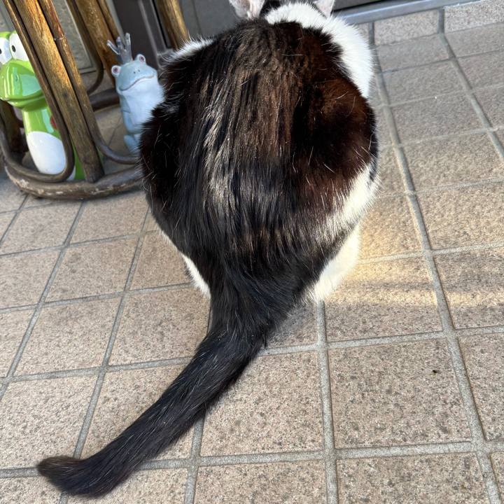 84b037fe 4cc6 4b9d b45f 504409d3019d 1776832466393