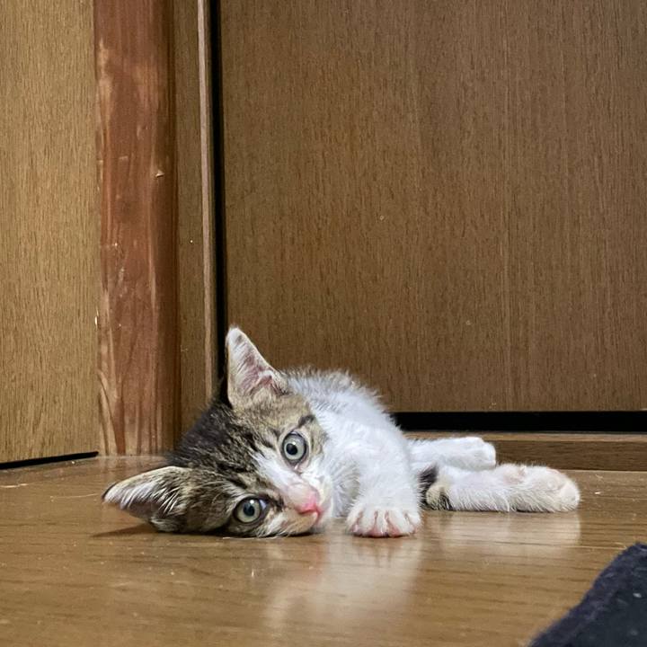 84b0ff84 d16b 4a67 8610 8d35db67f063 1720448898676