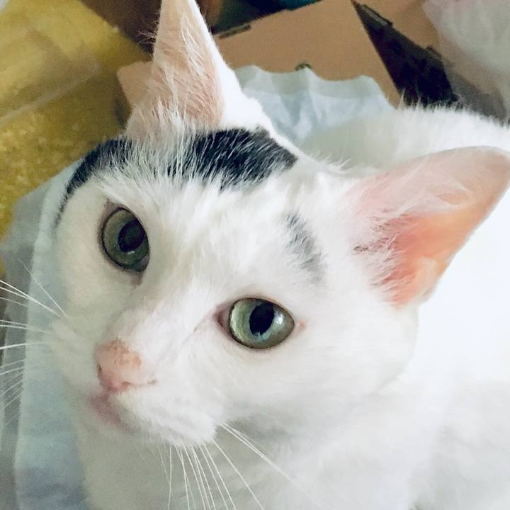 84b11c57 edd6 462b ba34 28e5f293723c 1566457961396