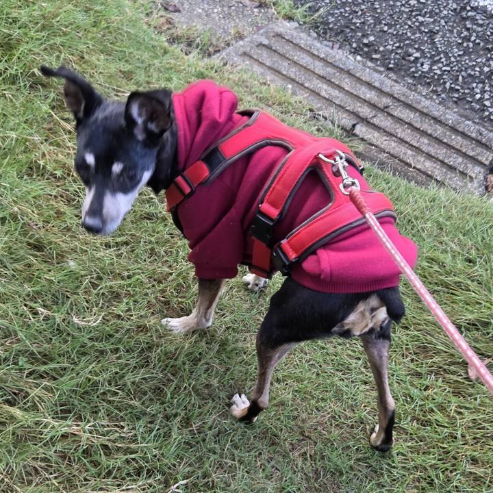 84b12769 be59 49b9 8ce9 d7141d06f952 1760656658038