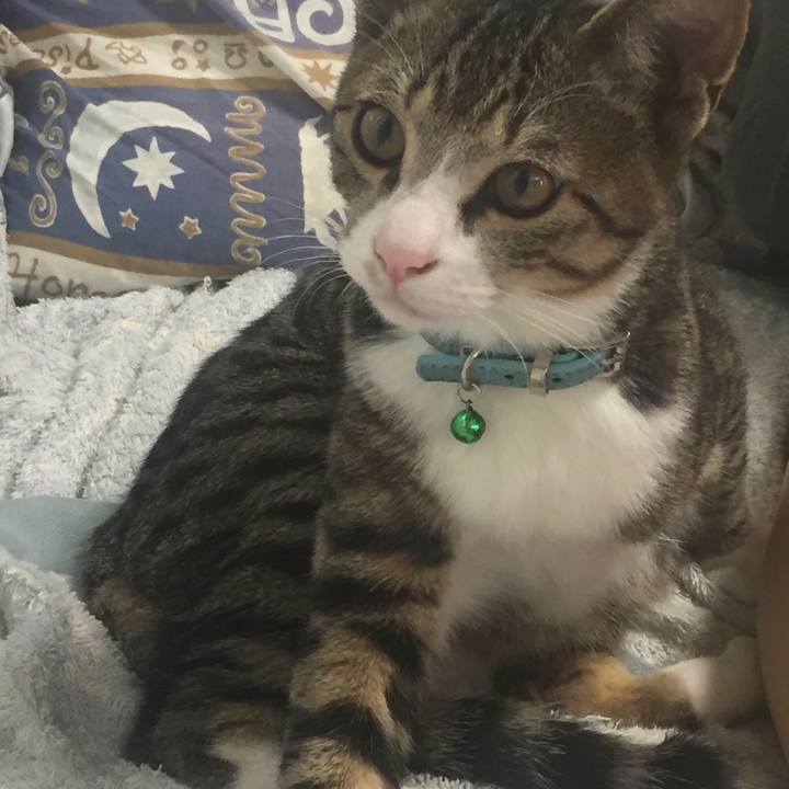 84b15cdf 97d9 480b a9b5 7405d8bf15e1 1660876662606