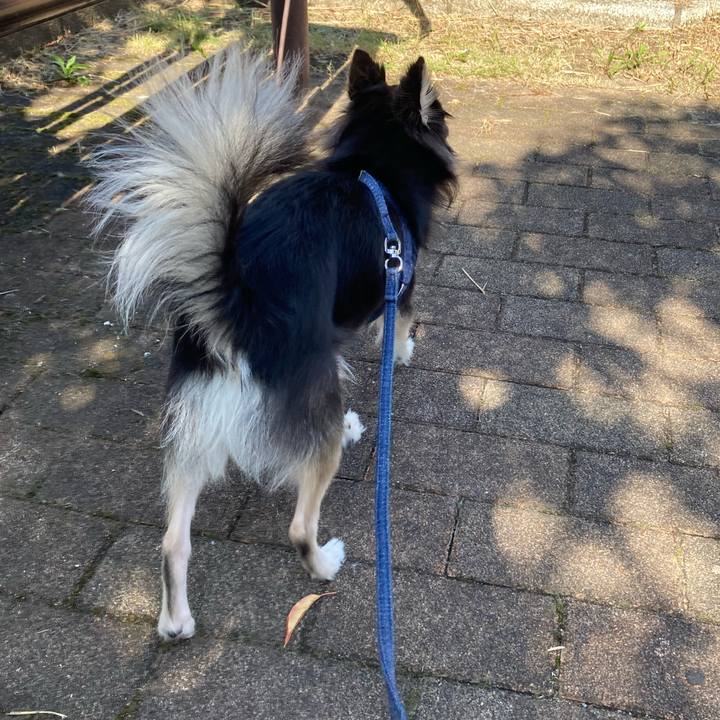 84b15eb7 b711 40b4 8bd8 5bfc9ba39a1b 1635566680620