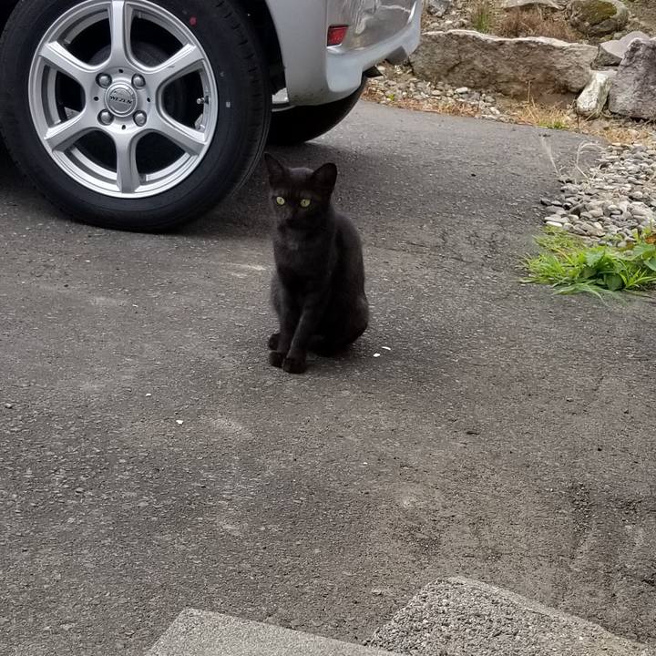 84b1820e 66d0 41a8 bb80 3eabb751cbd9 1565963549625