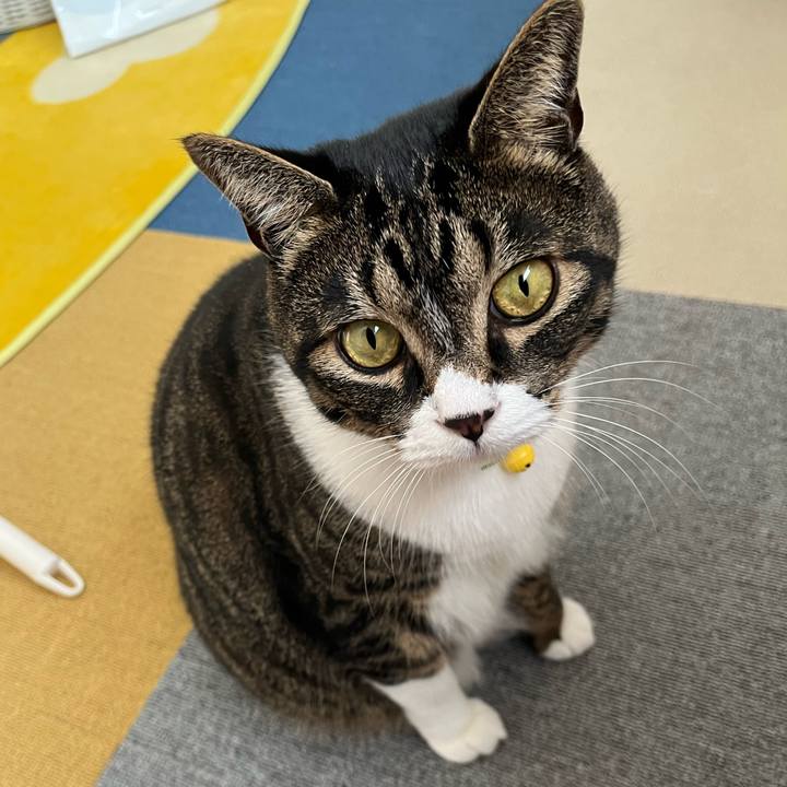 84b18e01 05fd 483b ac54 22bdc3a38c7d 1759447958731