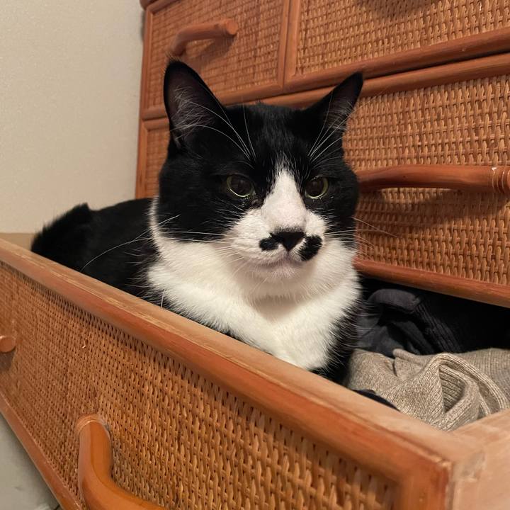 84b1c2b1 86ad 4702 8635 c86eb0b31f6b 1669068771282